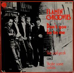 Flamin' Groovies : Don't You Lie to Me